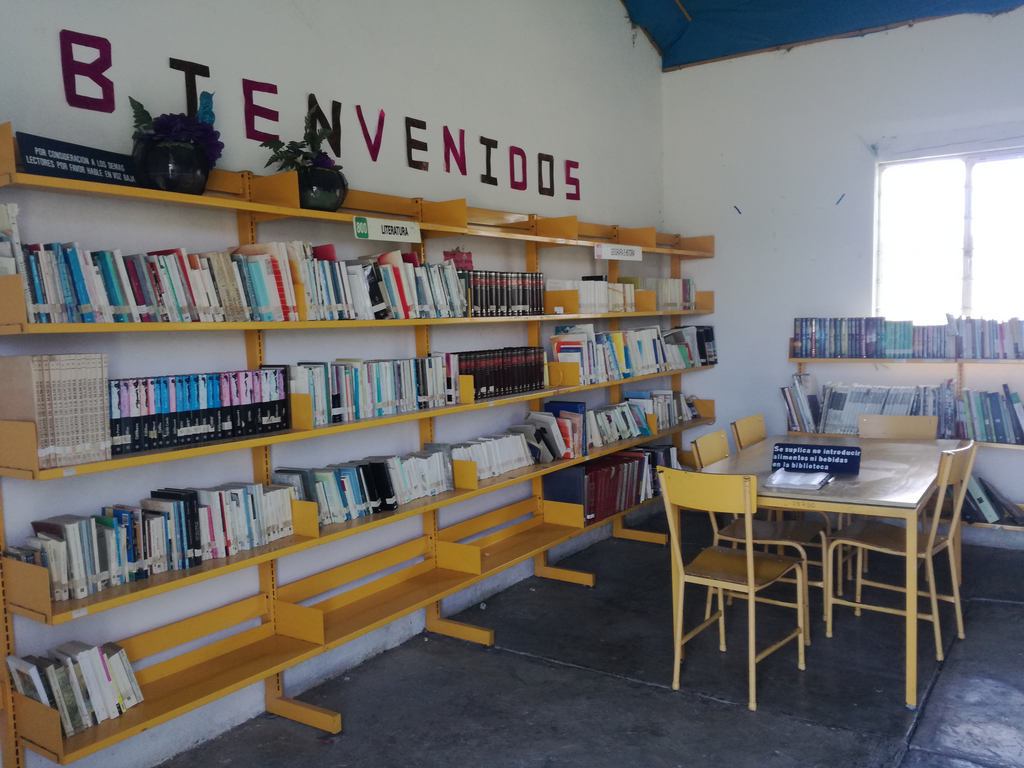imagen1