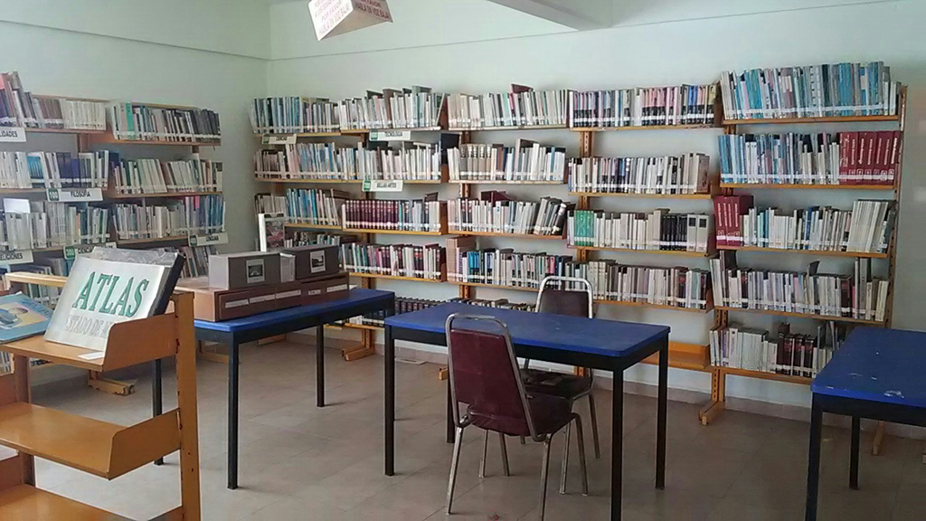 imagen3