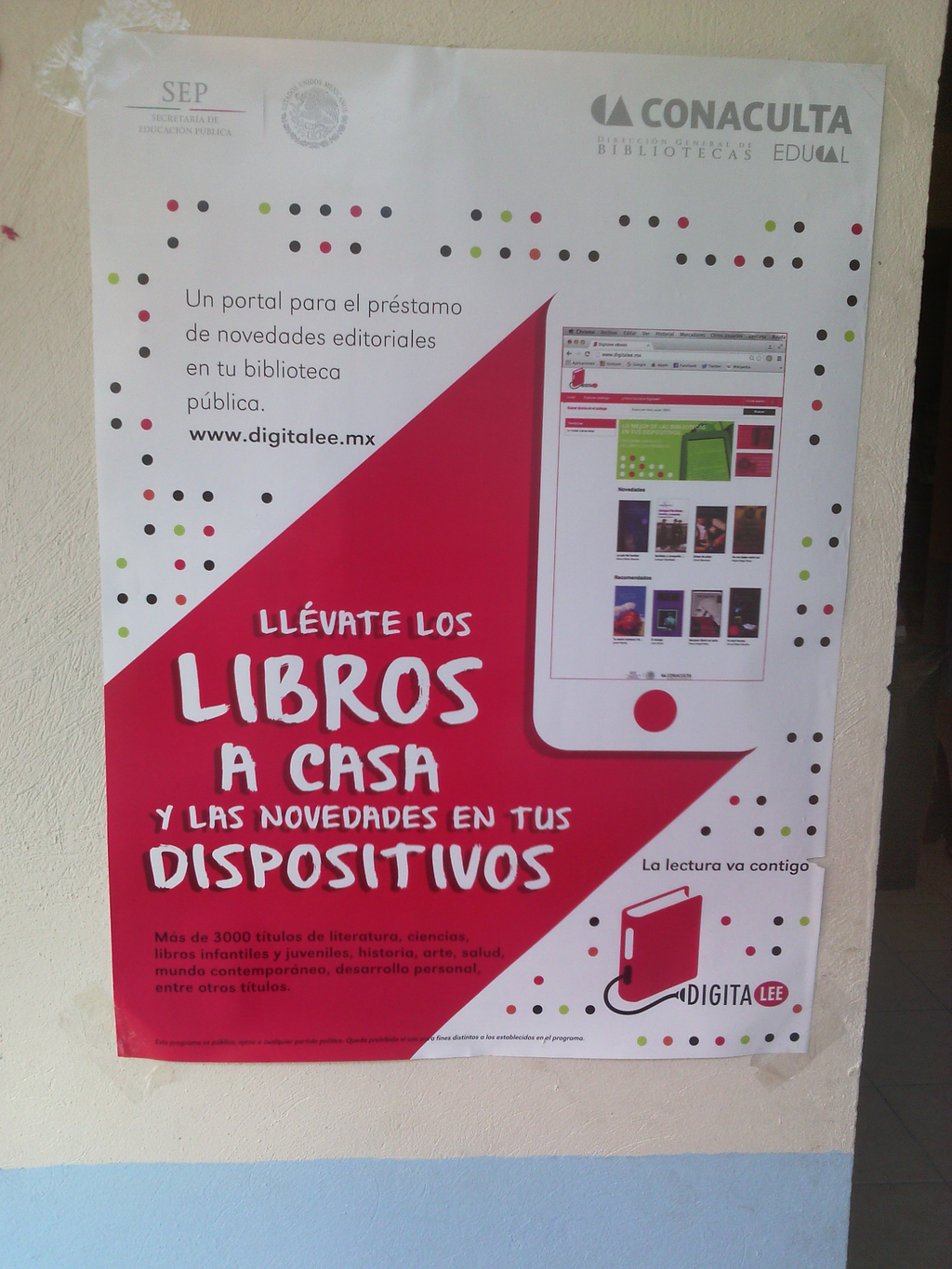 imagen1
