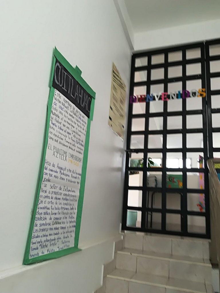 imagen2