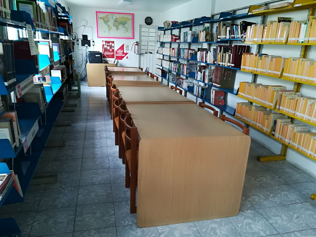 imagen1