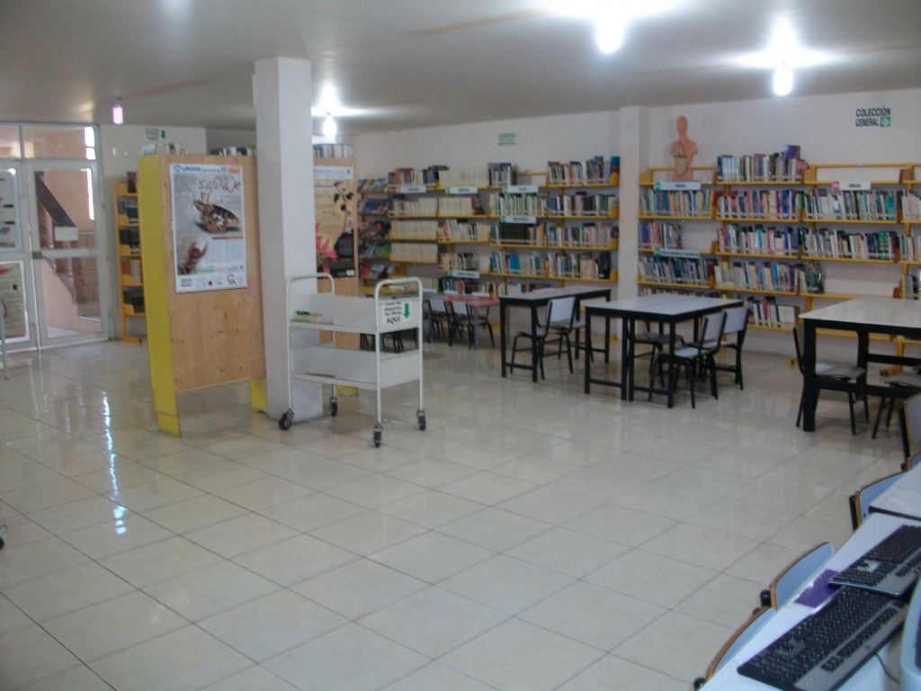 imagen2