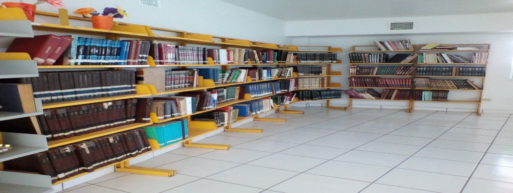 imagen2