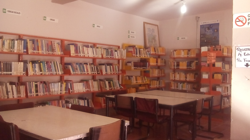 imagen1