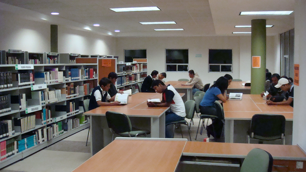 imagen1