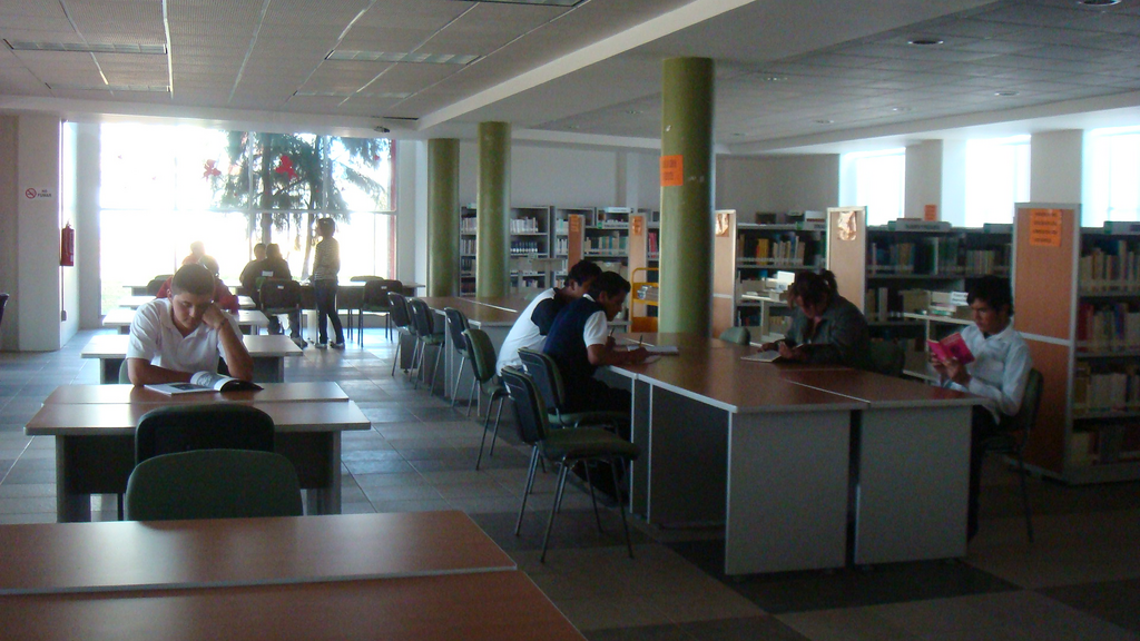 imagen2