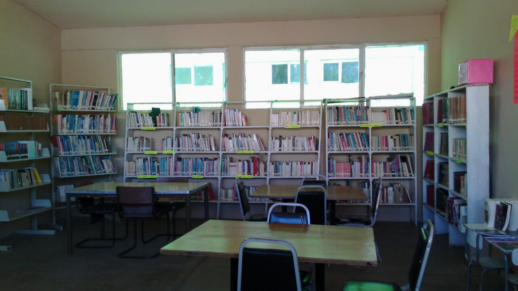 imagen2