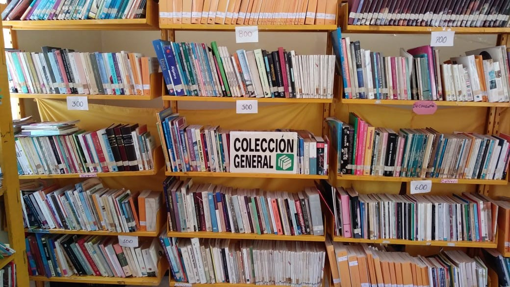 imagen1