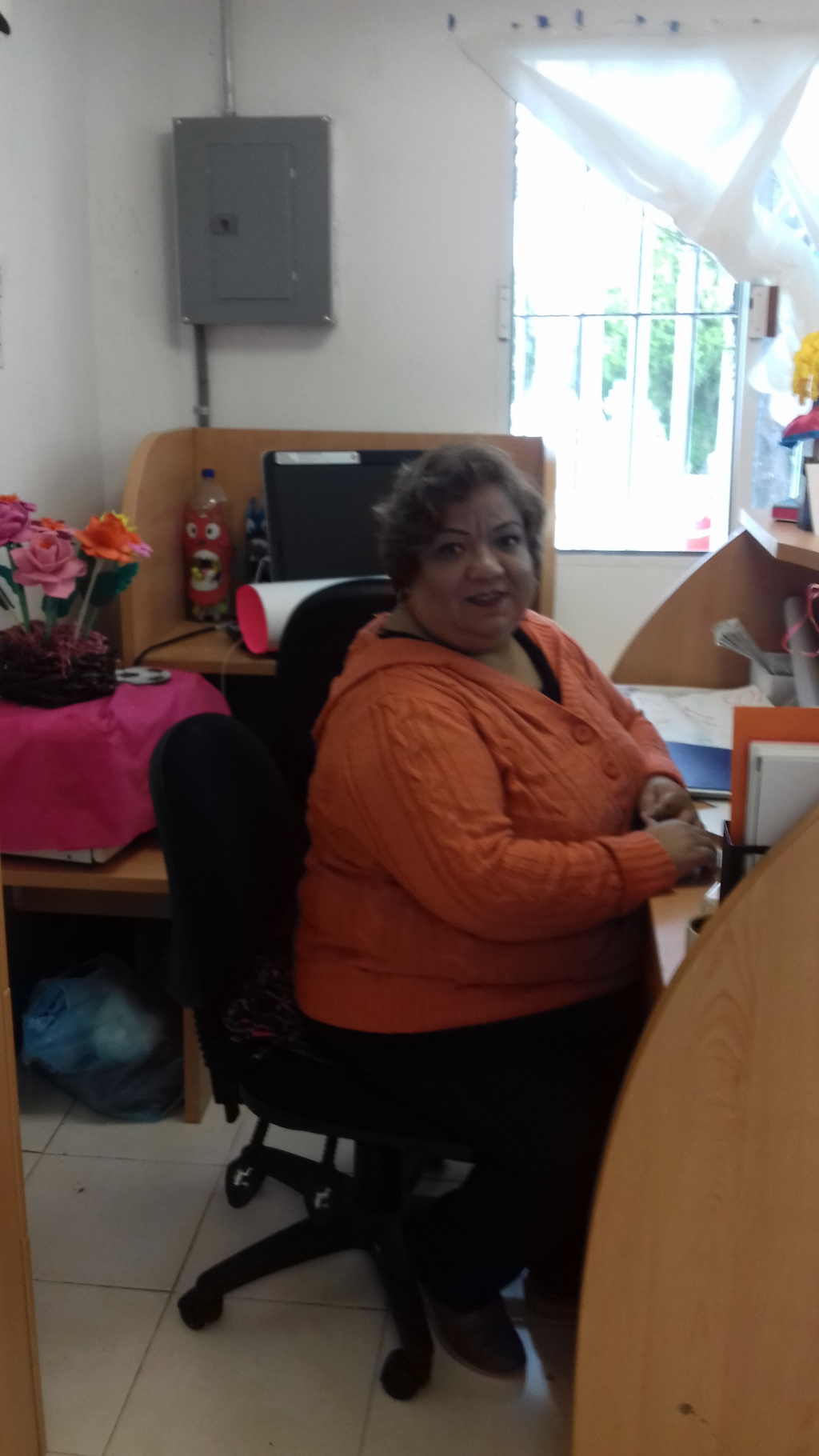 imagen1