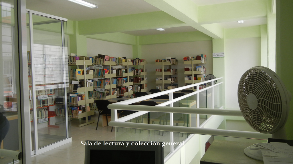 imagen1