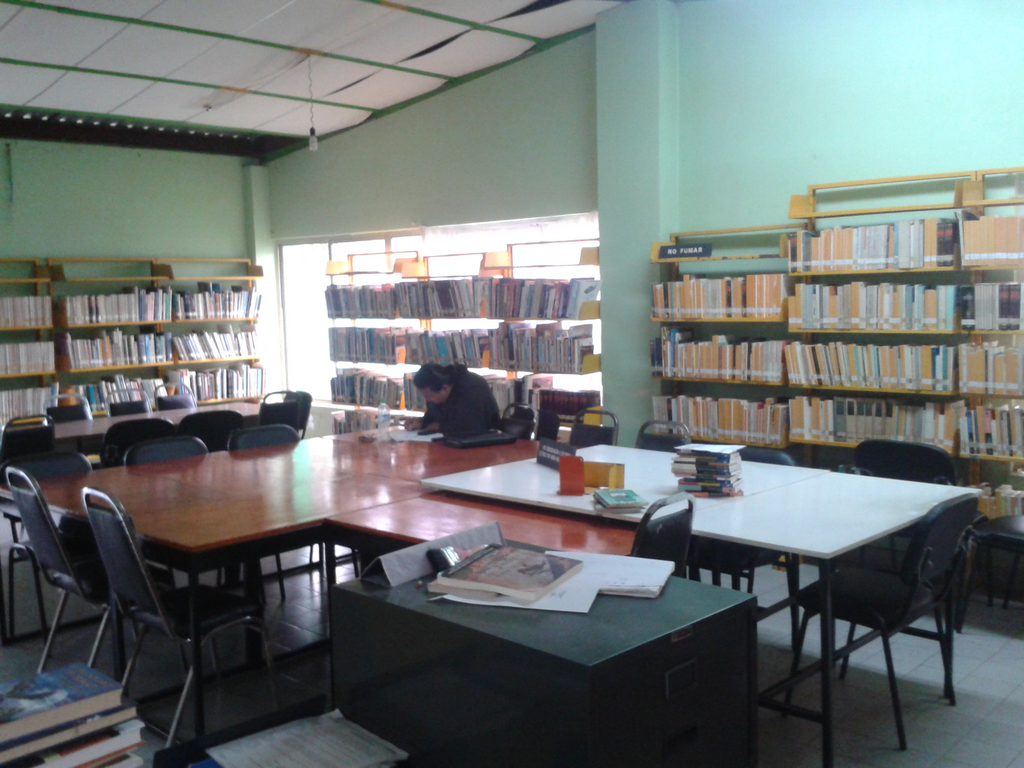 imagen3