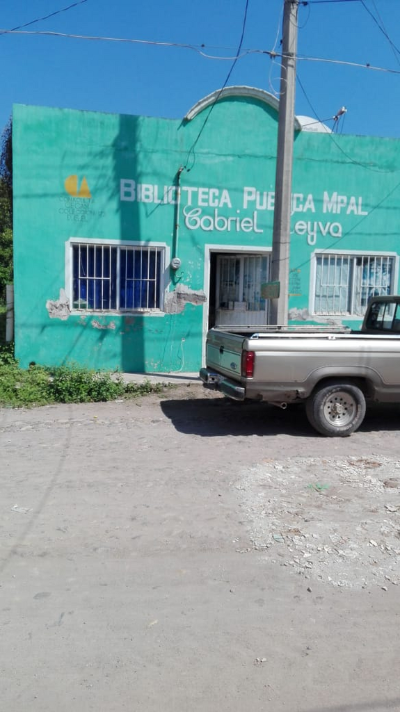 imagen1