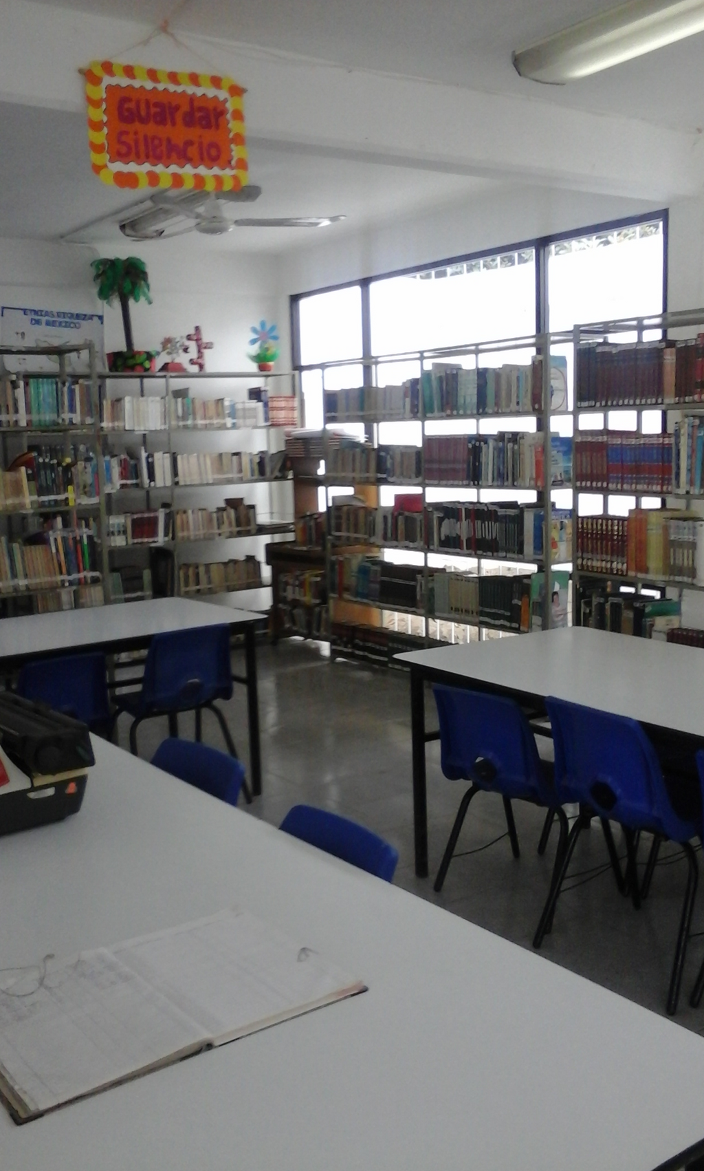 imagen2