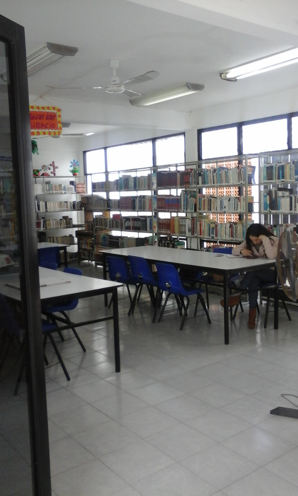 imagen1