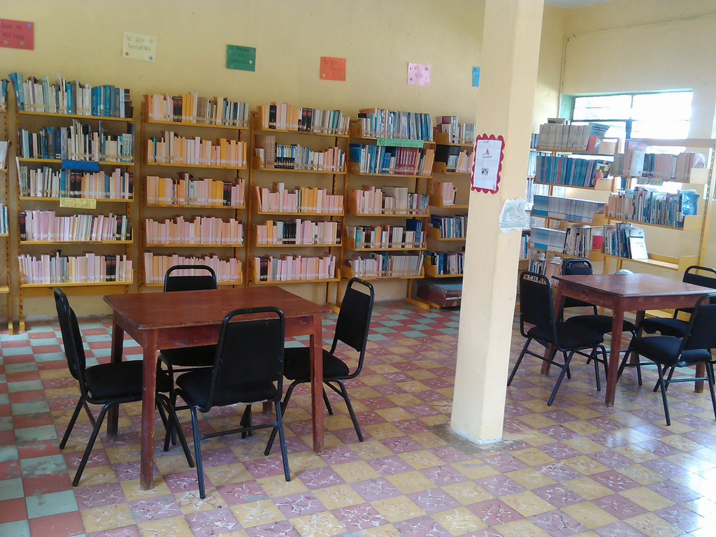 imagen1