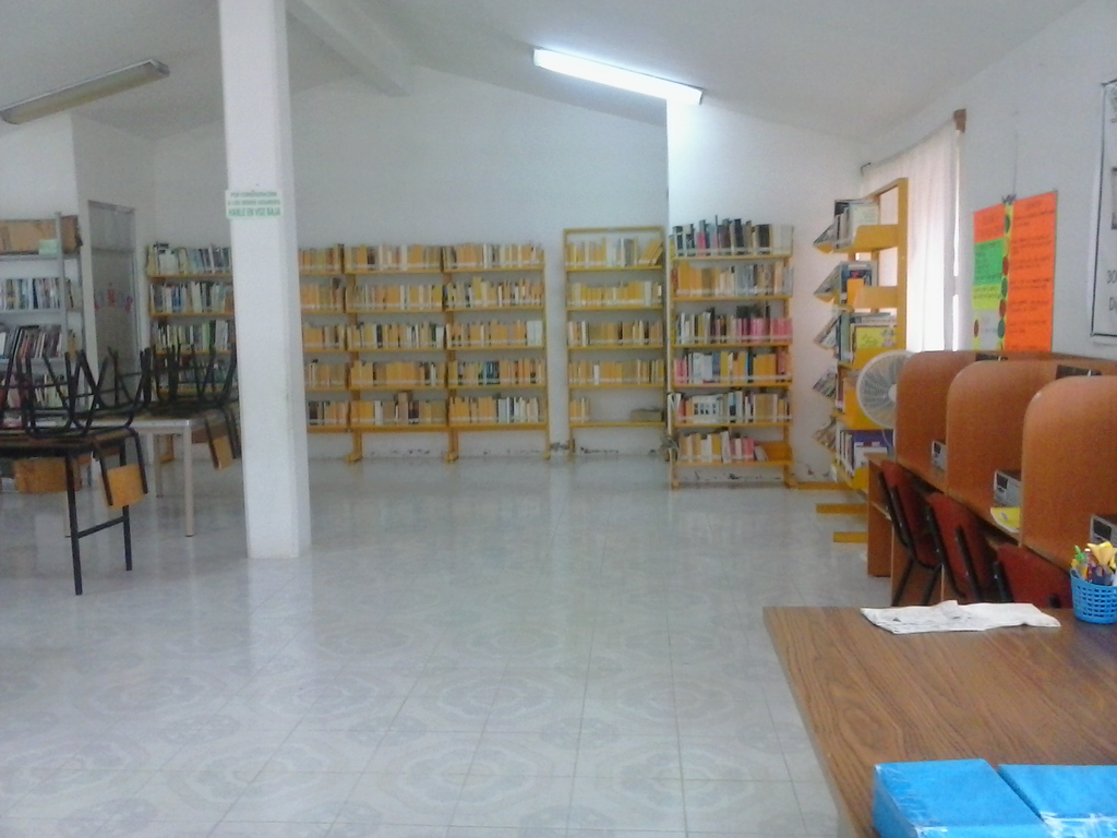 imagen1