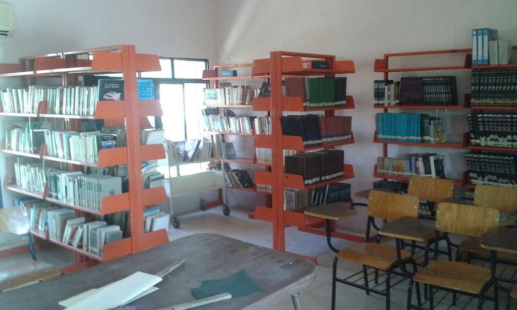 imagen3