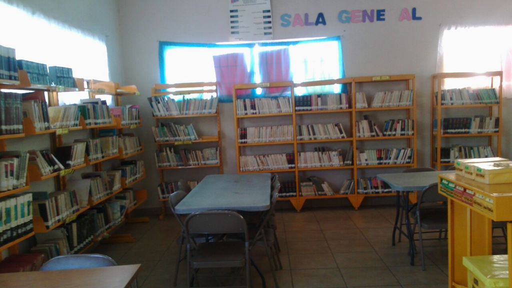 imagen1