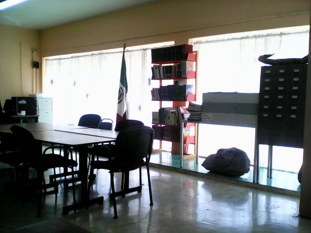 imagen0