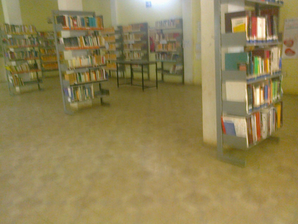 imagen1