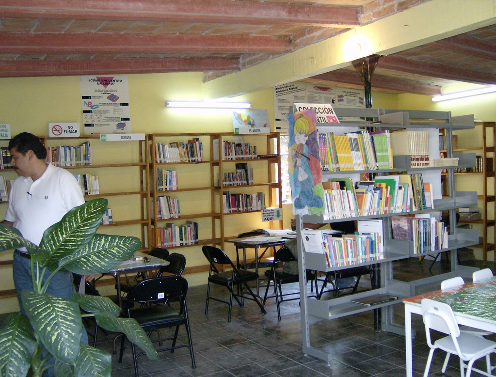 imagen1