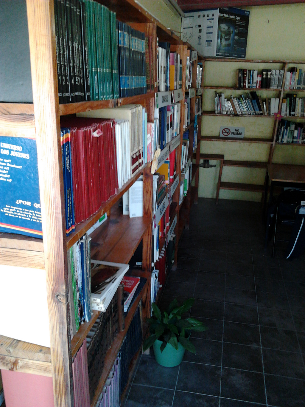imagen3