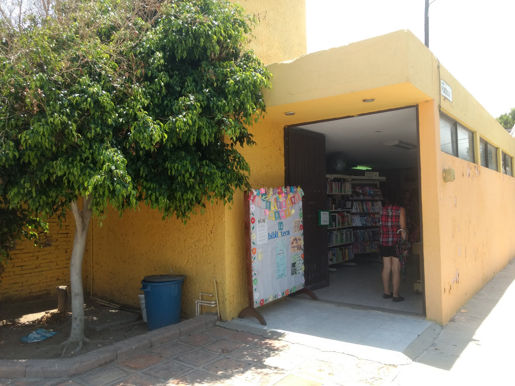imagen1
