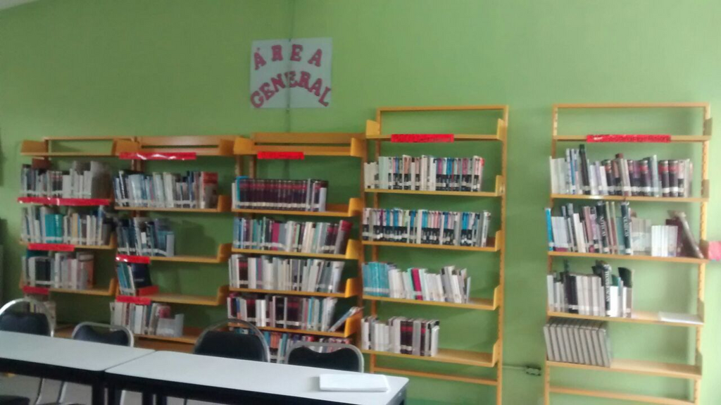 imagen3