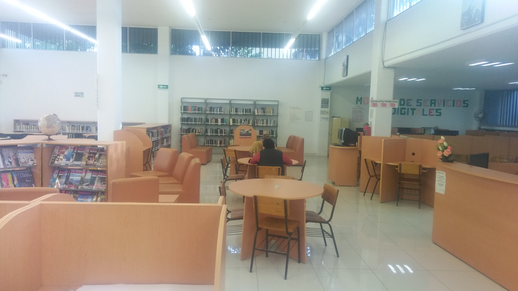 imagen3