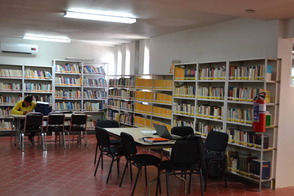 imagen1