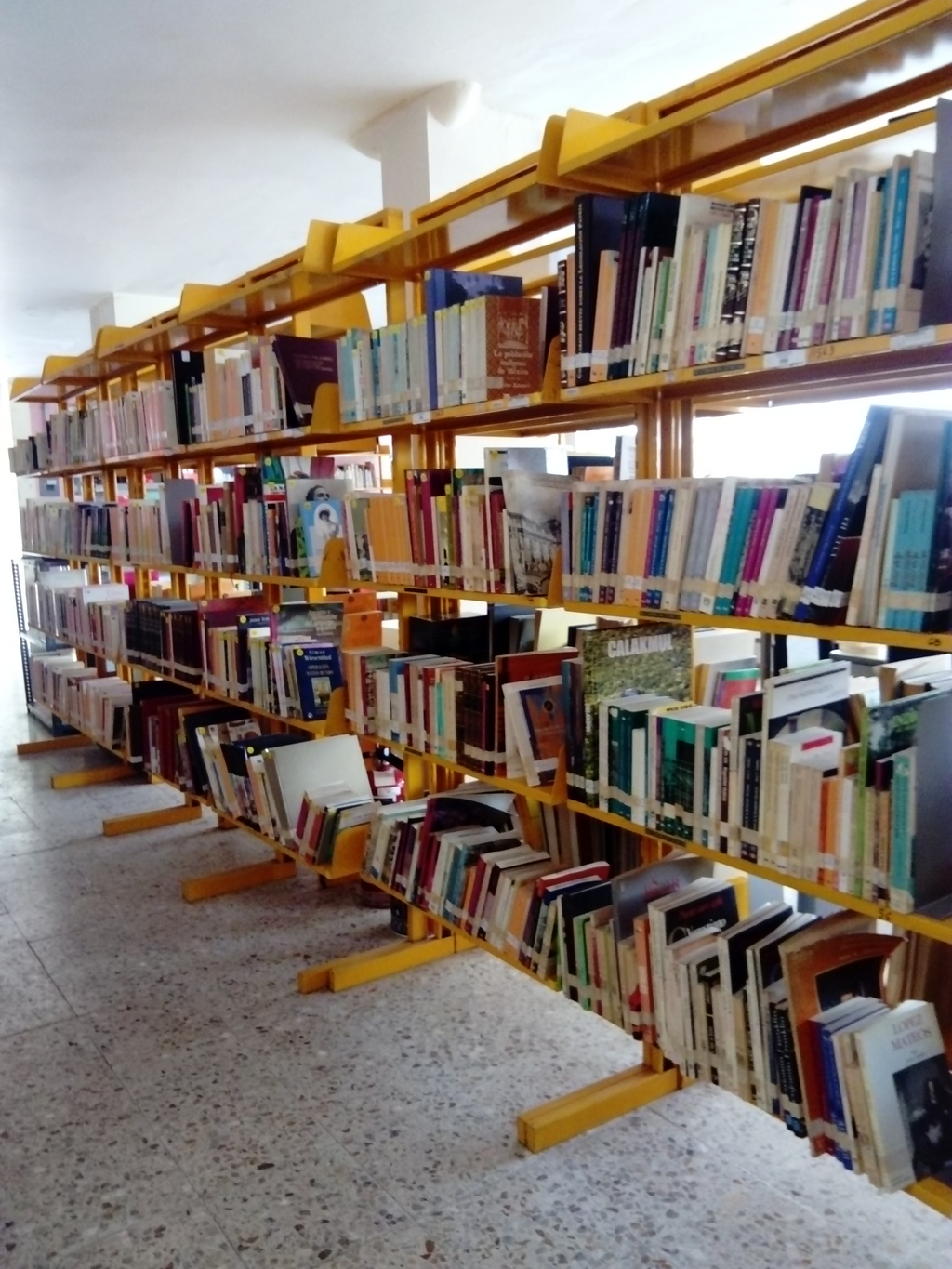 imagen3