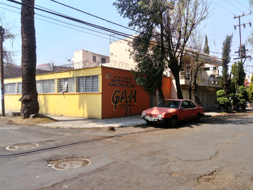 imagen1