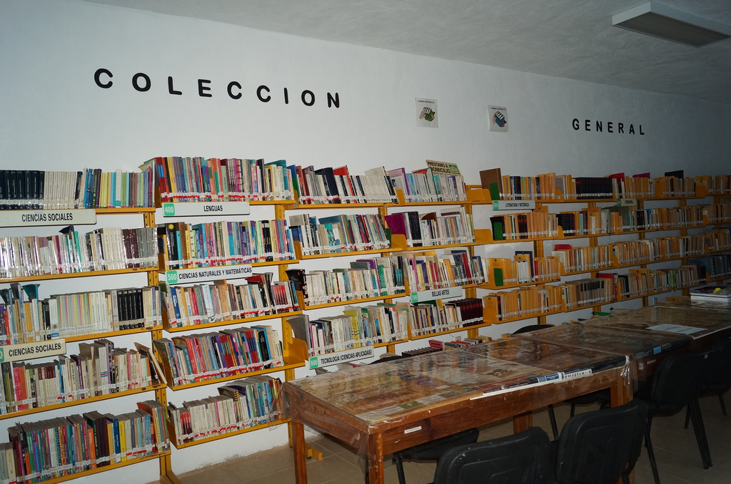 imagen3