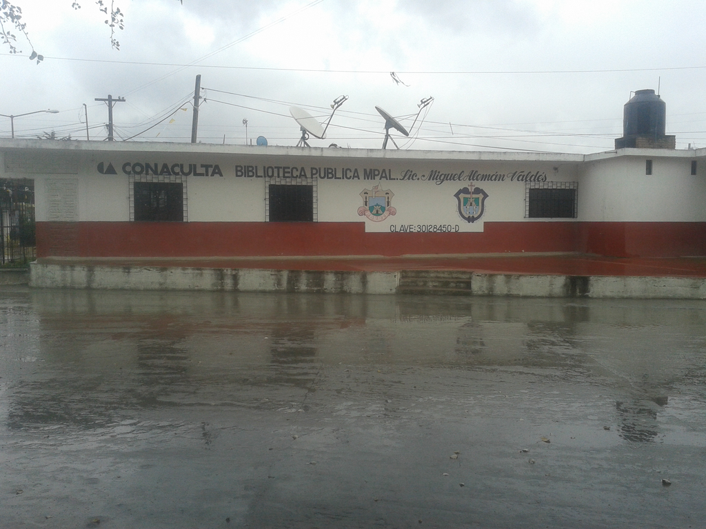 imagen3