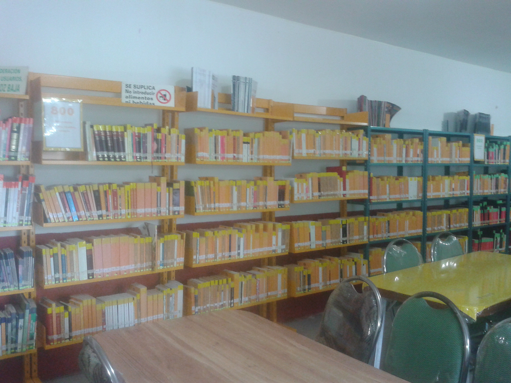 imagen1