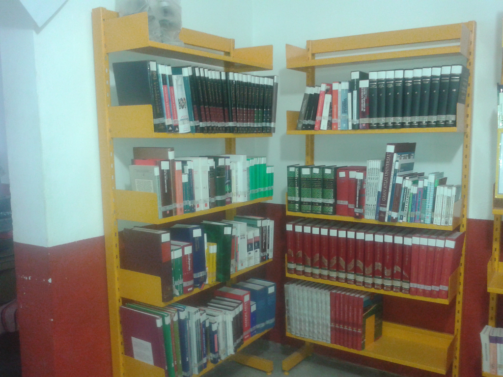 imagen1