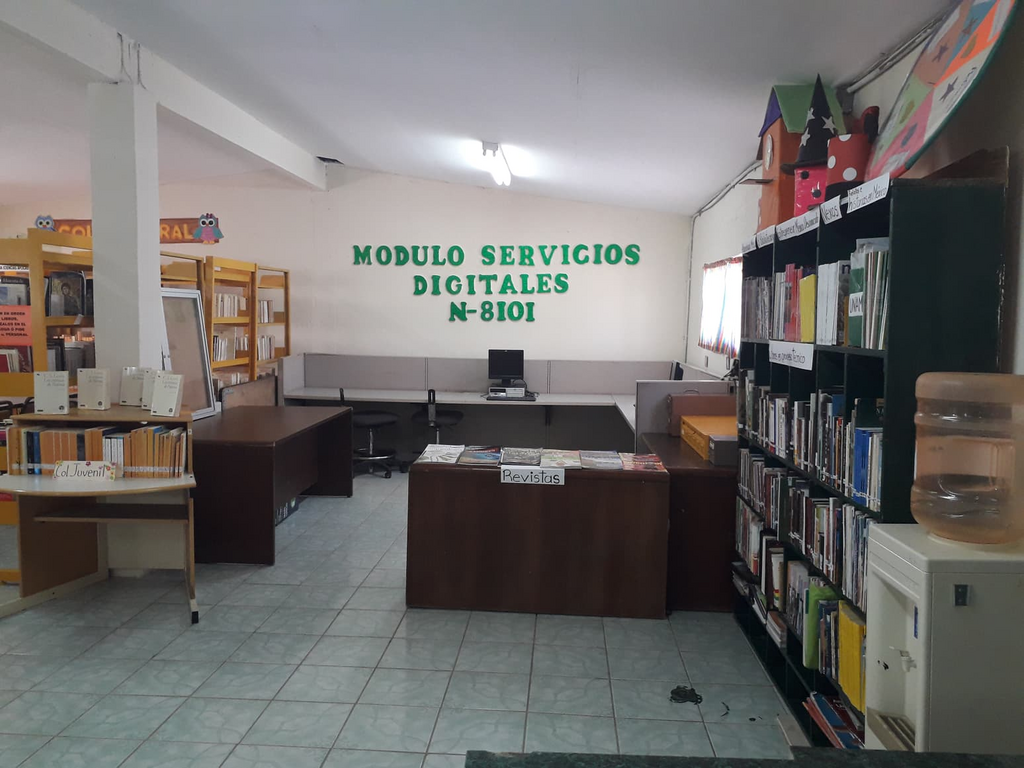 imagen3