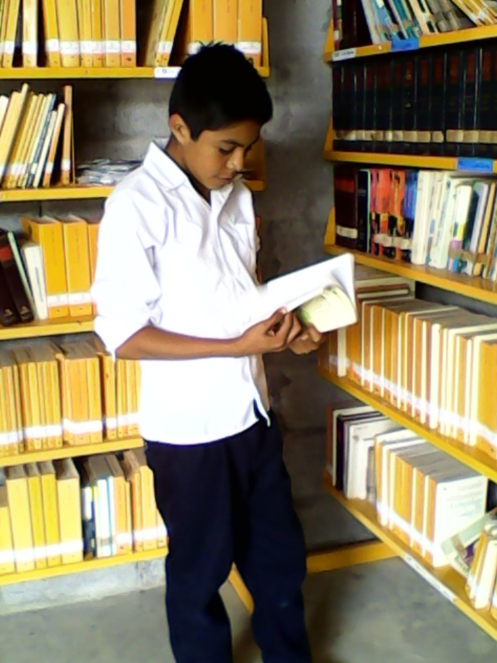 imagen0