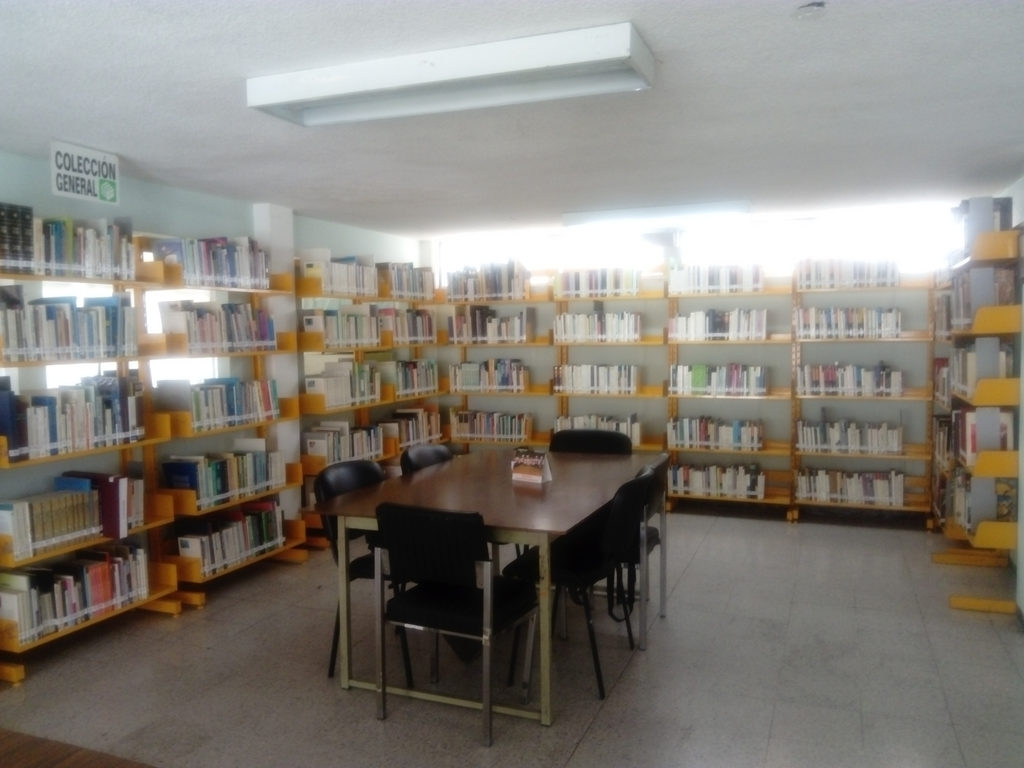 imagen2