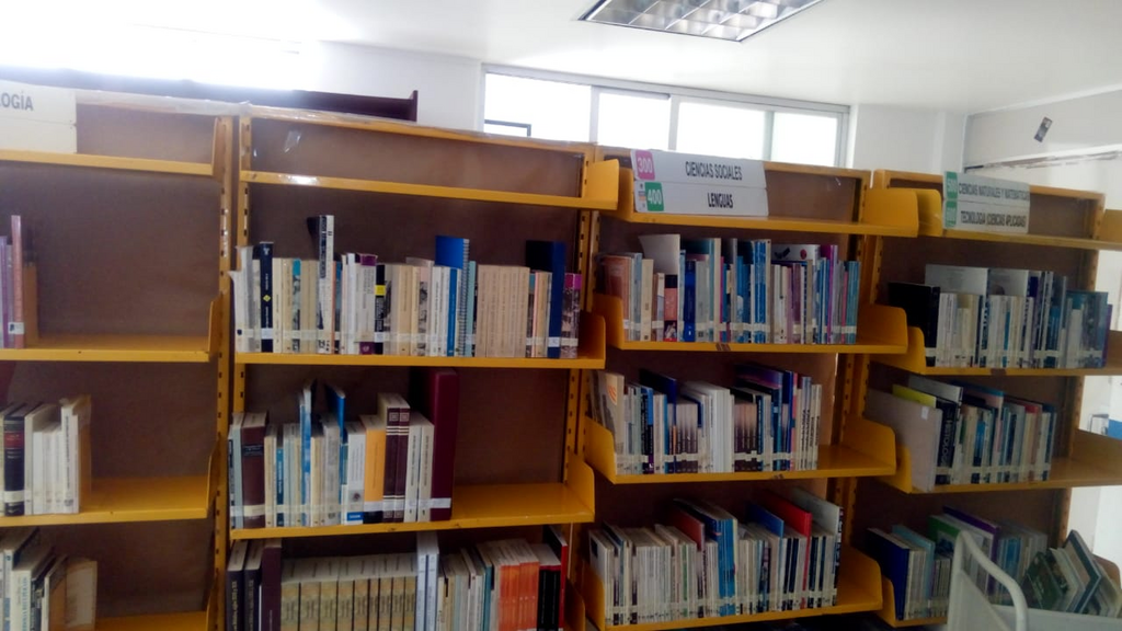 imagen1