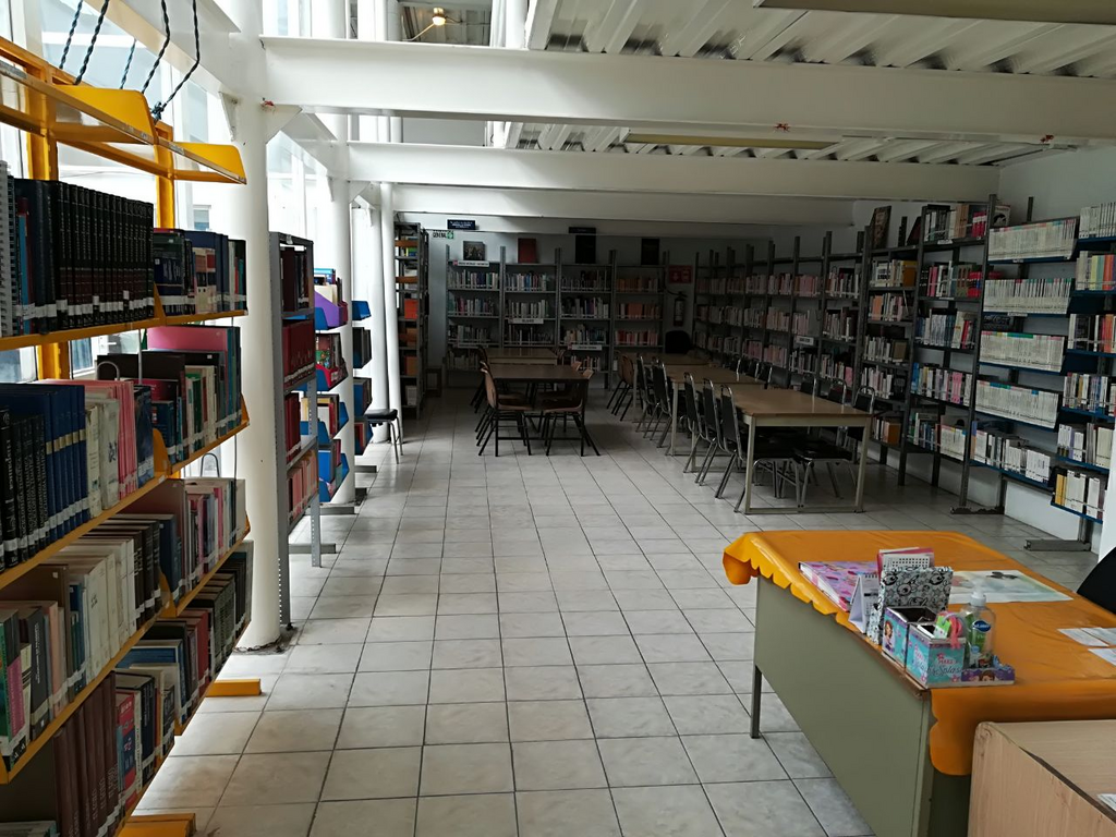 imagen1