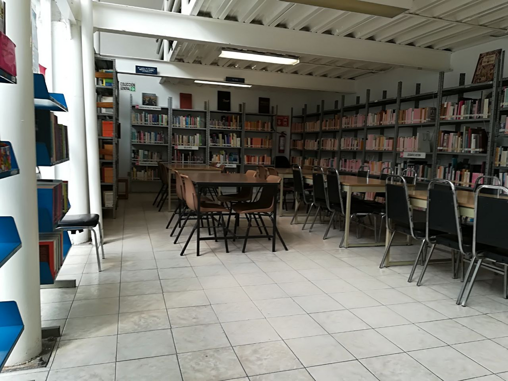 imagen2
