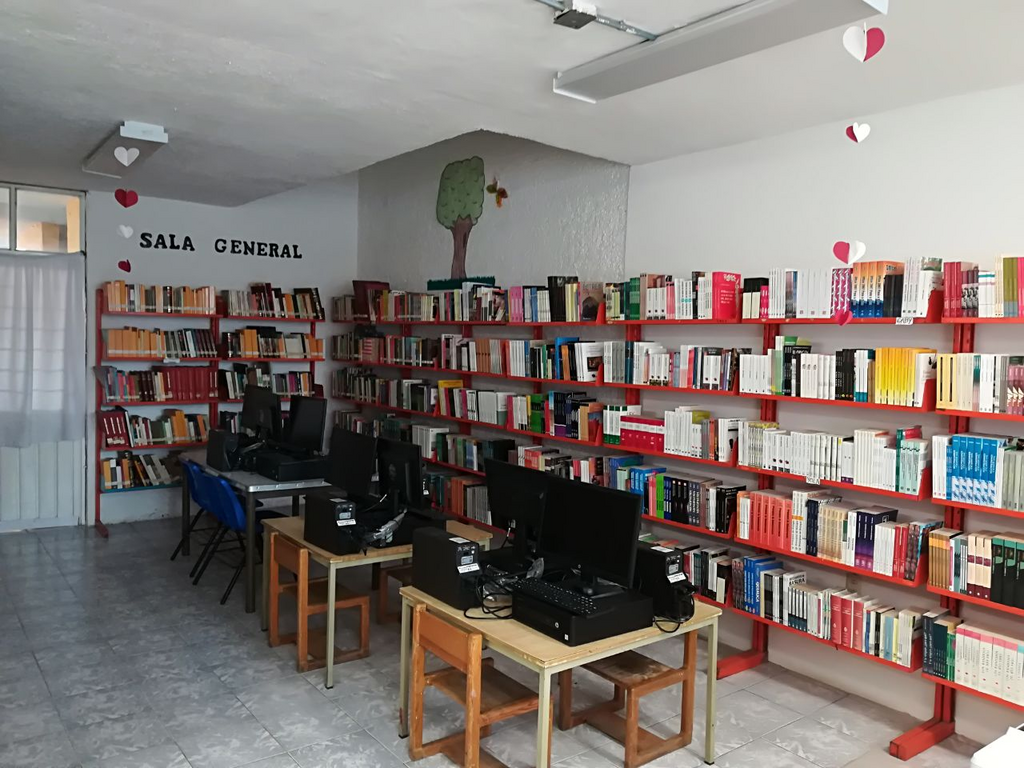 imagen1