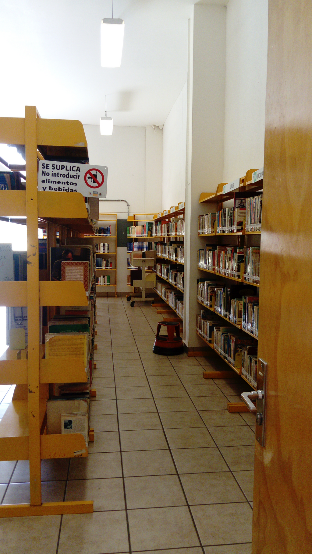 imagen2