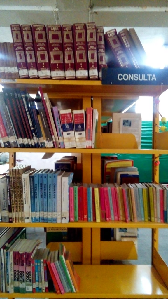 imagen3