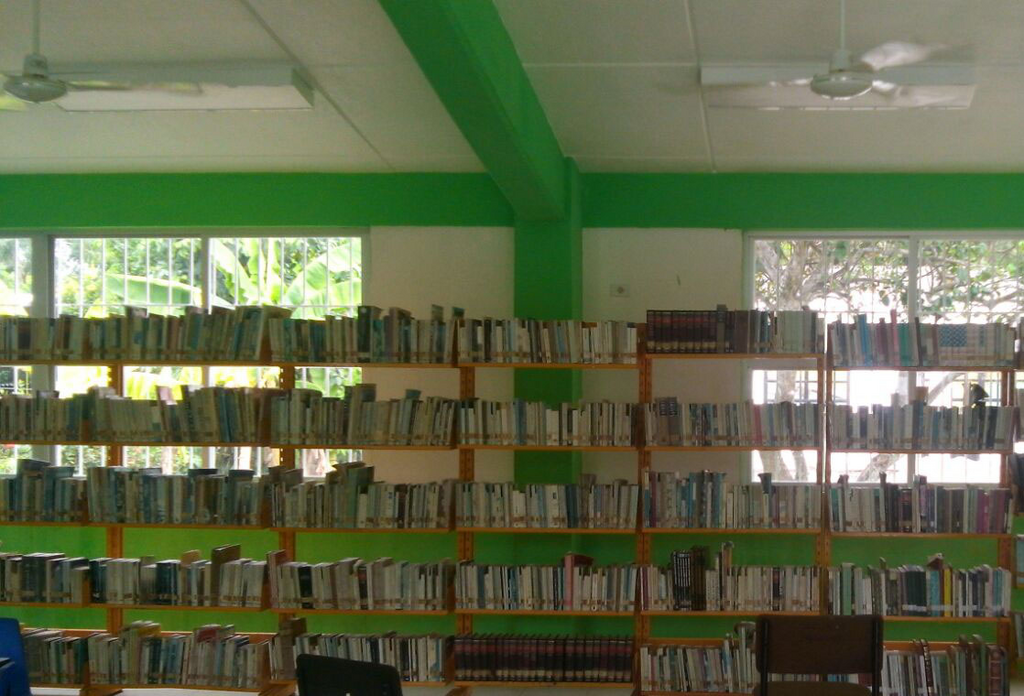 imagen3