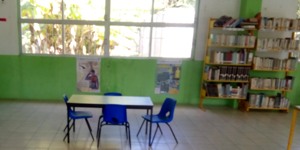 imagen2