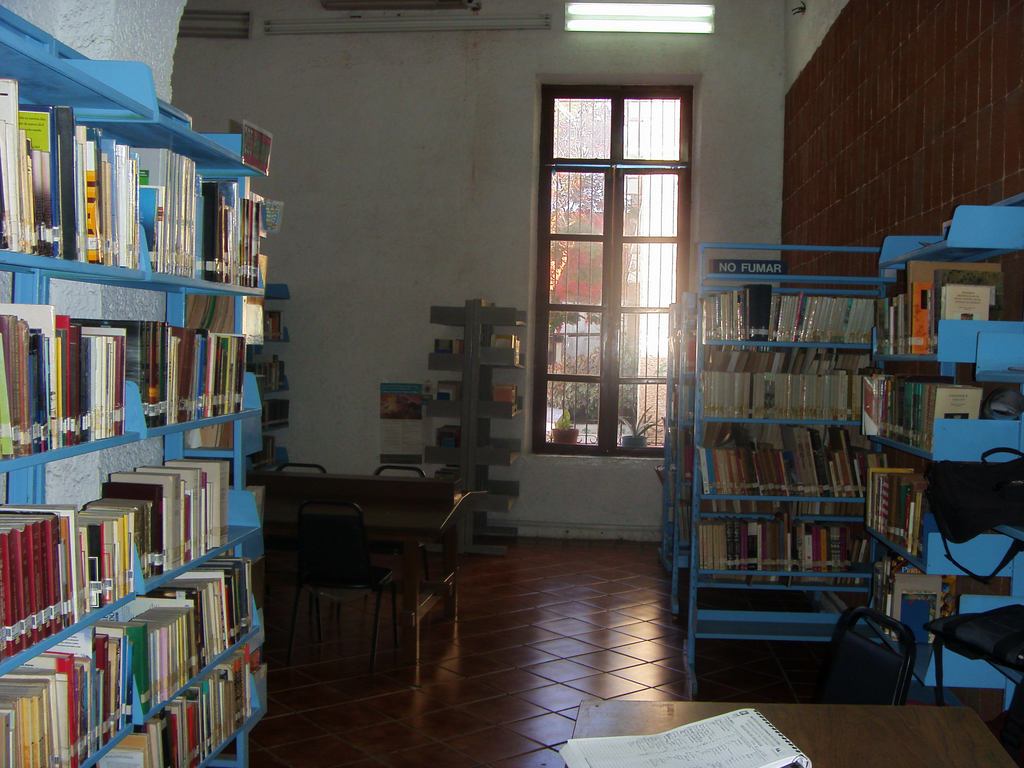 imagen3