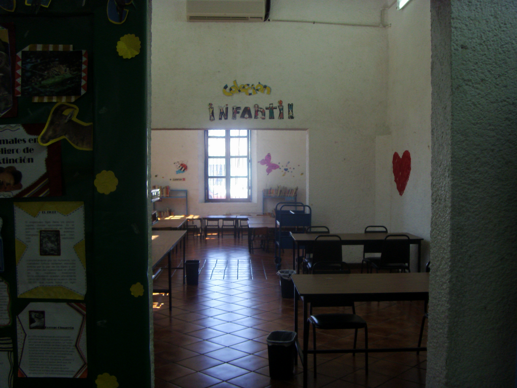 imagen1