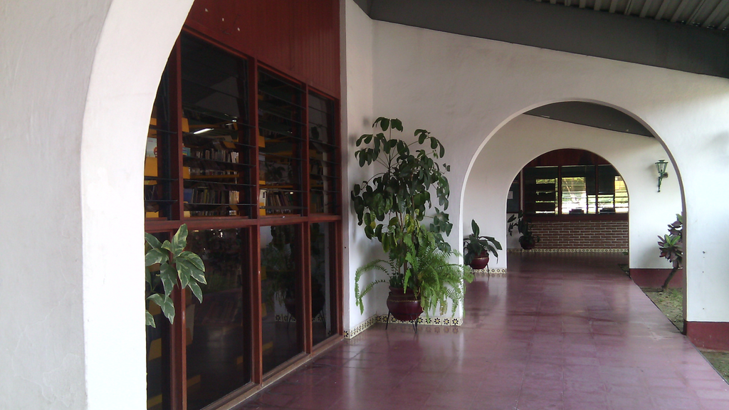 imagen2